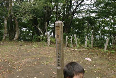 さびしげな大室山山頂