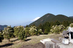 明るく開けたシダンゴ山